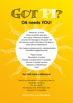 pi ideas flyer color 1