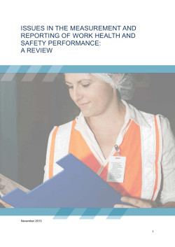 Issues measurement reporting WHS performance as a