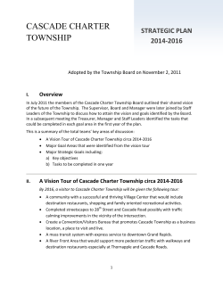 Board Goals - Cascade Township