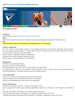 Foul Ball - SportsTG