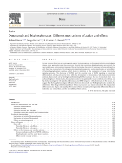 Denosumab and bisphosphonates: Different mechanisms of action