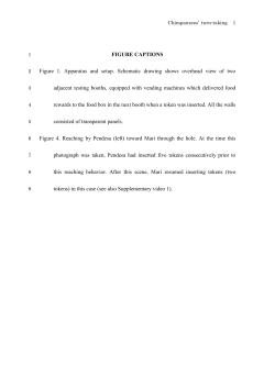 Solicitation and punishment to a free