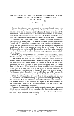 the assumption that dye adsorption and water