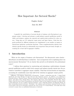 How Important Are Sectoral Shocks?