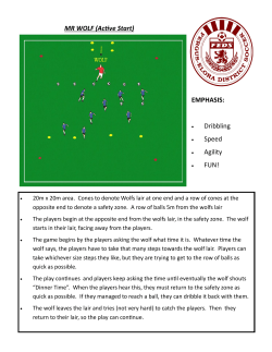 MR WOLF (Active Start) EMPHASIS: Dribbling Speed Agility FUN!
