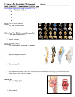 Evidence for Human Evolution Webquest