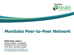 A team-based approach to leadership PEER SUPPORTERS IN THE