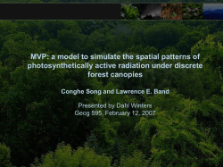 a model to simulate the spatial patterns of photosynthetically active