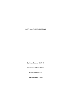 A Cut Above Business Plan