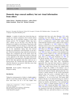 Domestic dogs conceal auditory but not visual information from others