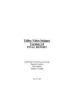 Final Report