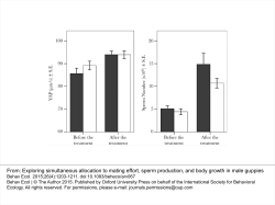 Exploring simultaneous allocation to mating effort, sperm production