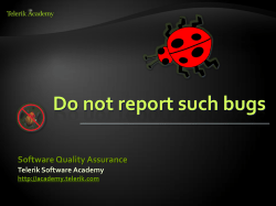 Bad Bug Report Example