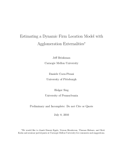 Estimating a Dynamic Firm Location Model with Agglomeration