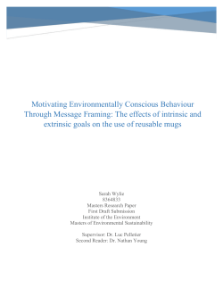 The effects of intrinsic and extrinsic goals on the use