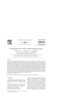 Food hoarding: future value in optimal foraging decisions