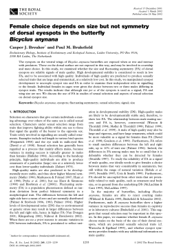 Female choice depends on size but not symmetry of dorsal