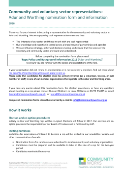 Adur and Worthing reps nomination form