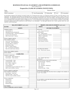 business financial statement and supporting schedules