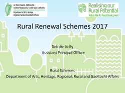 Town and Village Renewal Scheme