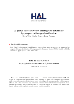 A group-lasso active set strategy for multiclass hyperspectral