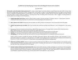 Guidelines for Developing a Governance Strategy for Community