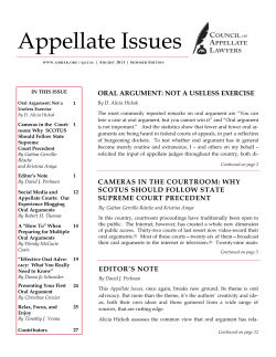 Appellate Issues - American Bar Association