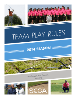 TEAM PLAY RULES