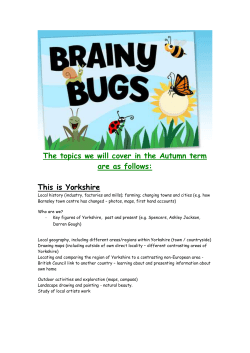 topic-year-overview - All Saints Academy