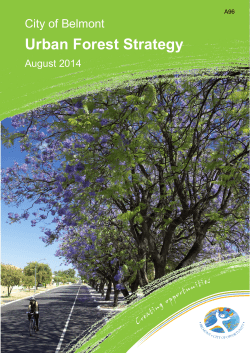 Urban Forest Strategy