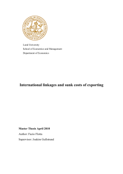 International linkages and sunk costs of exporting