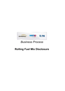 Business Process Document for Rolling Fuel Mix