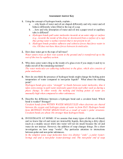 Assessment Answer Key
