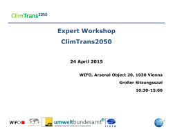 Economic Effects of Measures Promoting Energy