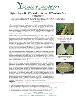 Highest Sugar Beet Yields Ever in the UK Thanks to New Fungicides