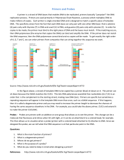 Primers and probes