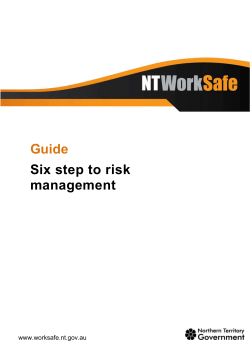 Guide six steps to risk management