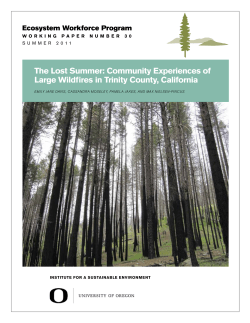 Community experiences of large Wildfires in trinity County, California