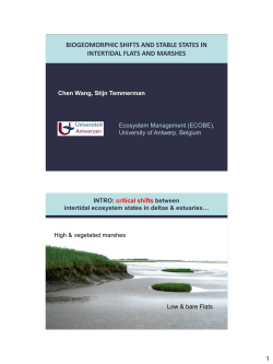 biogeomorphic shifts and stable states in intertidal flats and marshes