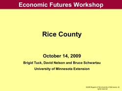 Rice County Economics Impact Analysis