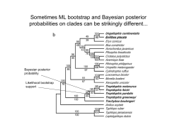 Sometimes ML bootstrap and Bayesian posterior probabilities on