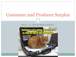 Consumer and Producer Surplus