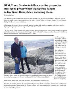 BLM, Forest Service to follow new fire prevention strategy to
