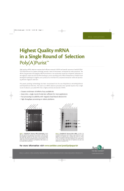 Highest Quality mRNA in a Single Round of Selection Poly(A)
