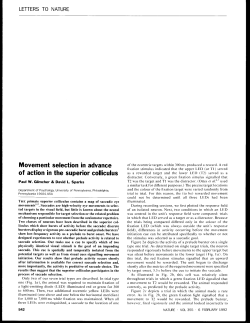Movement selection in advance of action in the superior colliculus