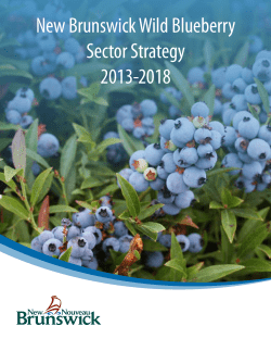 New Brunswick Wild Blueberry Sector Strategy 2013-2018