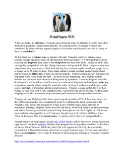 All about Penguins - Beavercreek City School District