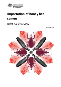 Importation of honey bee semen - Department of Agriculture and