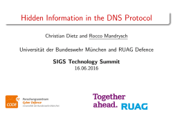 Hidden Information in the DNS Protocol