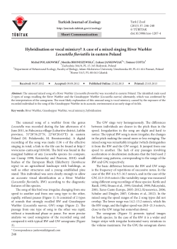 Hybridisation or vocal mimicry? A case of a mixed singing River